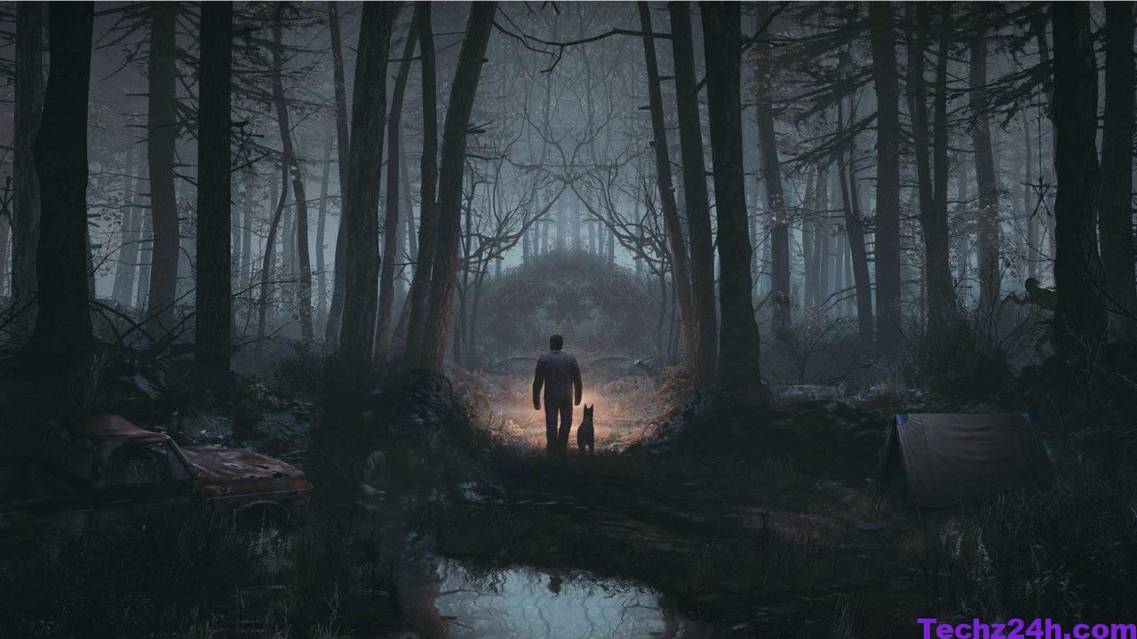 horror-forest