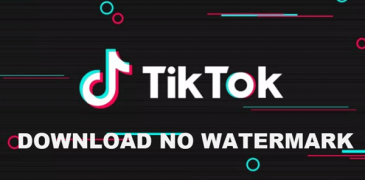 Top 10 App Lưu Video TikTok Không Có Logo trên điện thoại 2023