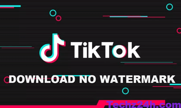 Video-Downloader-for-Tik-Tok-no-Watermark