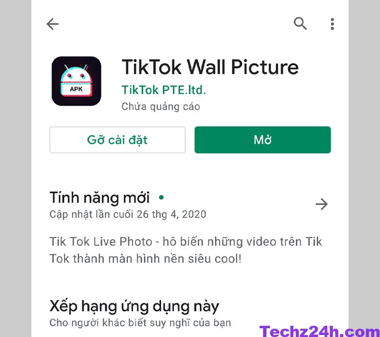TikTok-Wall-Picture