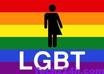 Chữ T, L trong LGBT là gì?